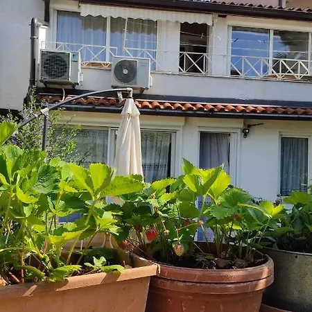 In Porec/istrien 33353 Apartament *